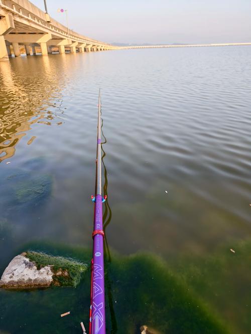 水庫釣魚用什么魚竿比較好_釣線選擇方法_水庫釣魚技巧