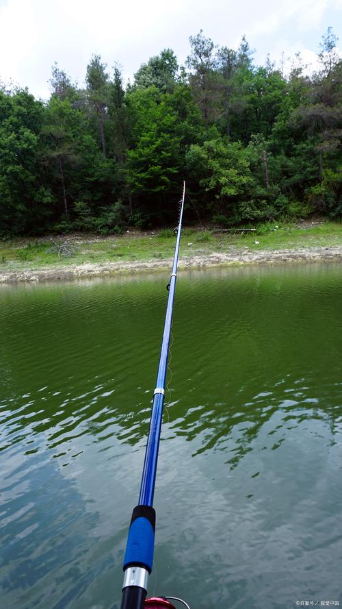 水庫釣魚技巧_水庫釣魚用什么魚竿比較好_釣線選擇方法