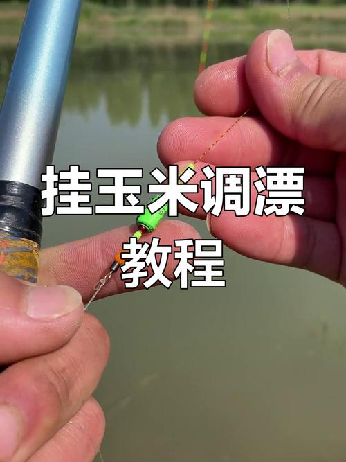 玉米粒釣大魚_玉米粒釣鯉魚怎么調漂_守釣大魚