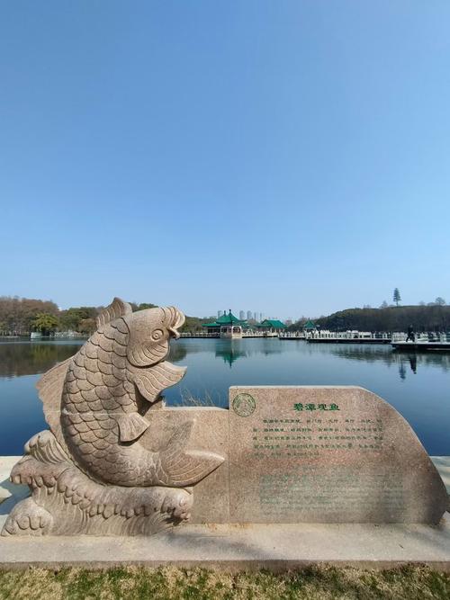 石家莊勝利公園_勝利公園釣魚_石家莊釣魚