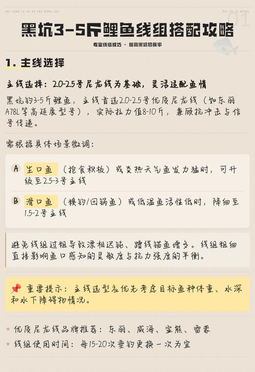 釣3到5斤鯉魚線組搭配_釣鯉魚鉤子選擇_釣鯉魚用幾號線合適