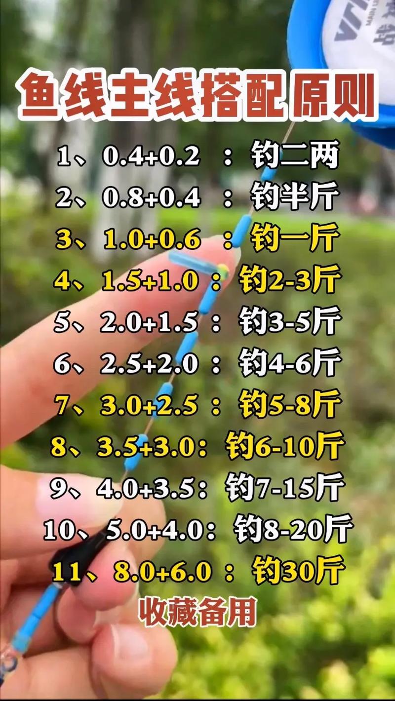 釣鯉魚鉤子選擇_釣鯉魚用幾號線合適_釣3到5斤鯉魚線組搭配