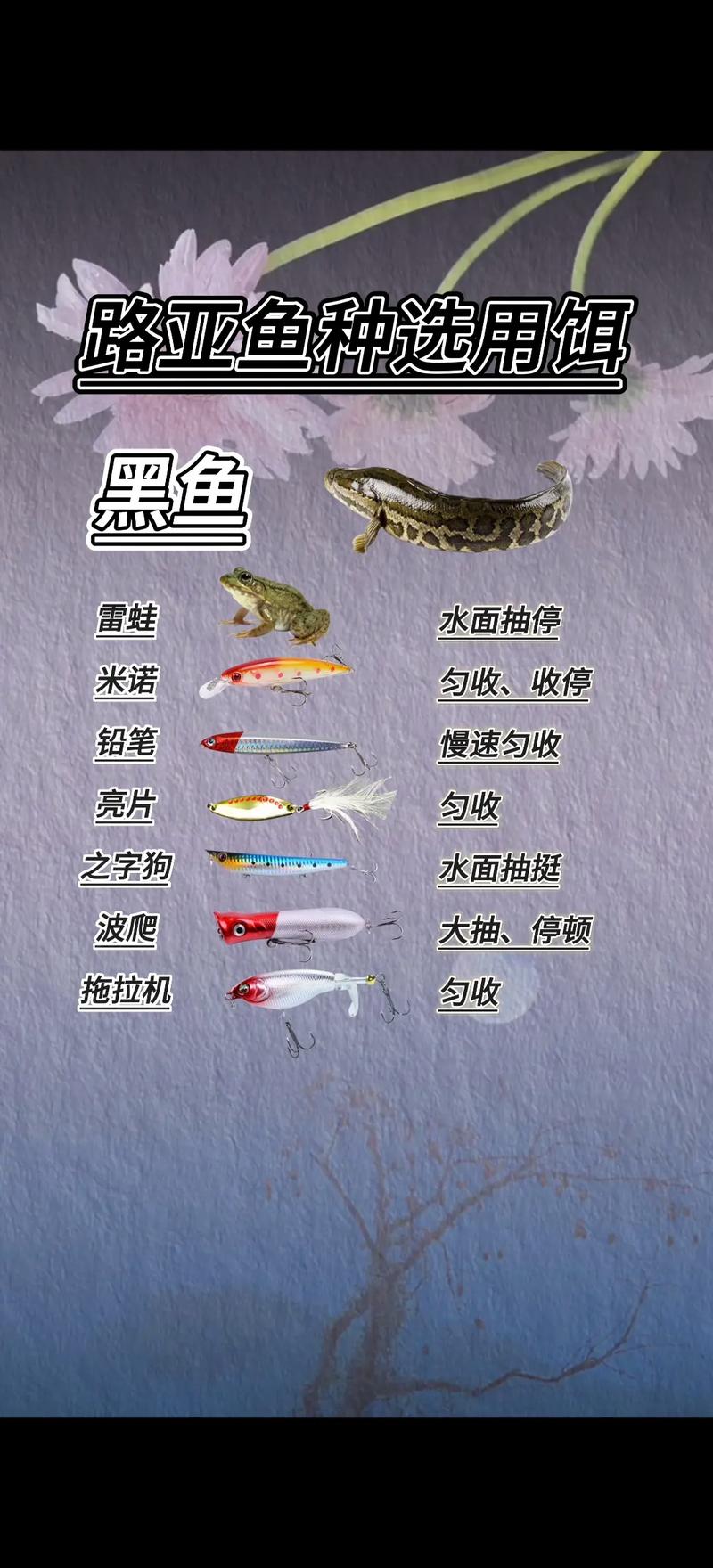 釣魚技術高超_釣魚釣魚技術_最新釣魚技術