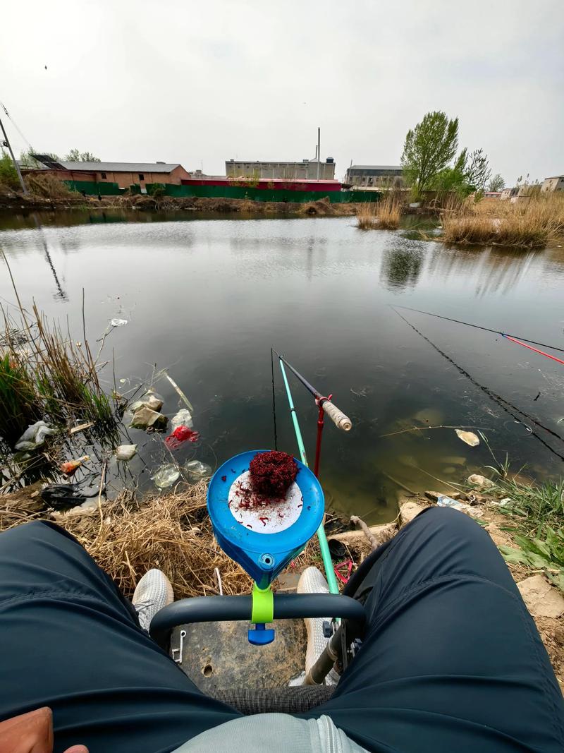 北京首批垂釣區_北京22條段垂釣區_北京龍潭湖公園釣魚免費嗎？
