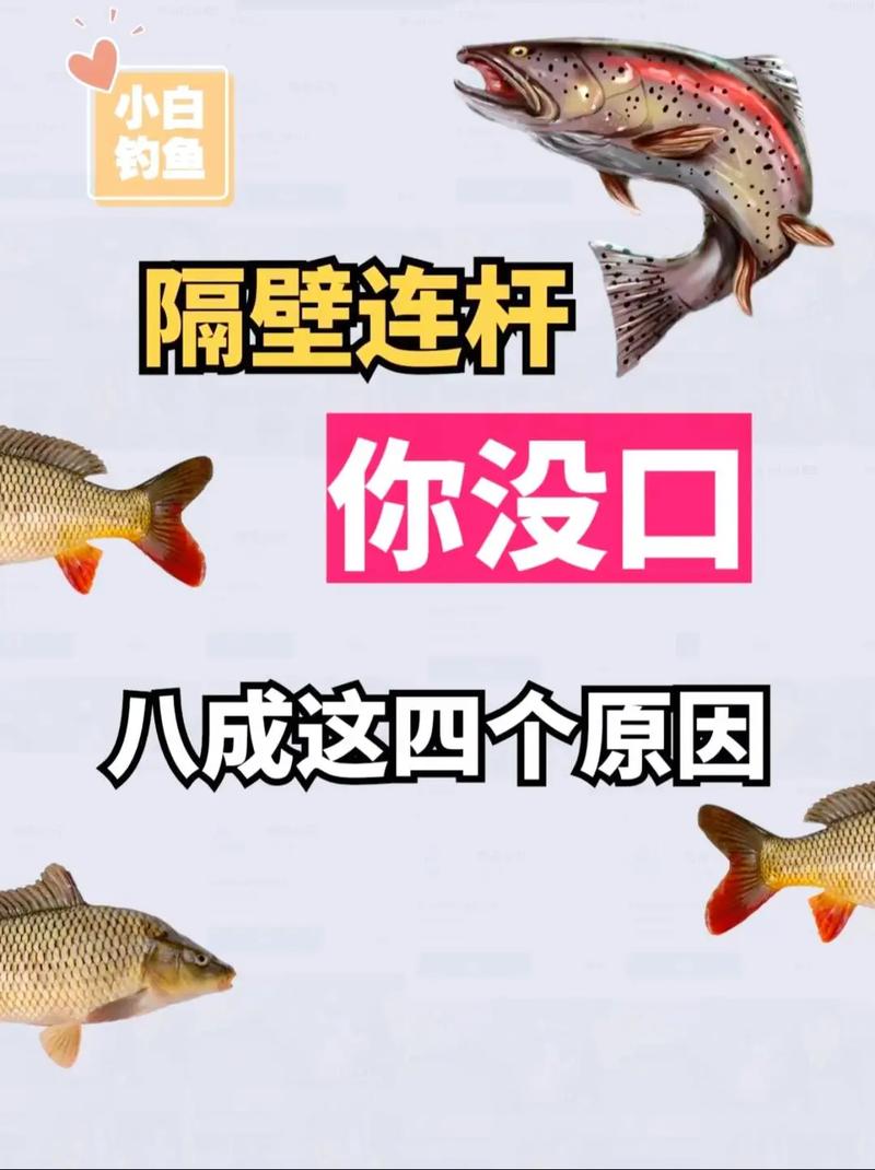 換一個釣位_釣魚沒口怎么辦_水庫釣魚遇沒口時必須學會的技巧必看
