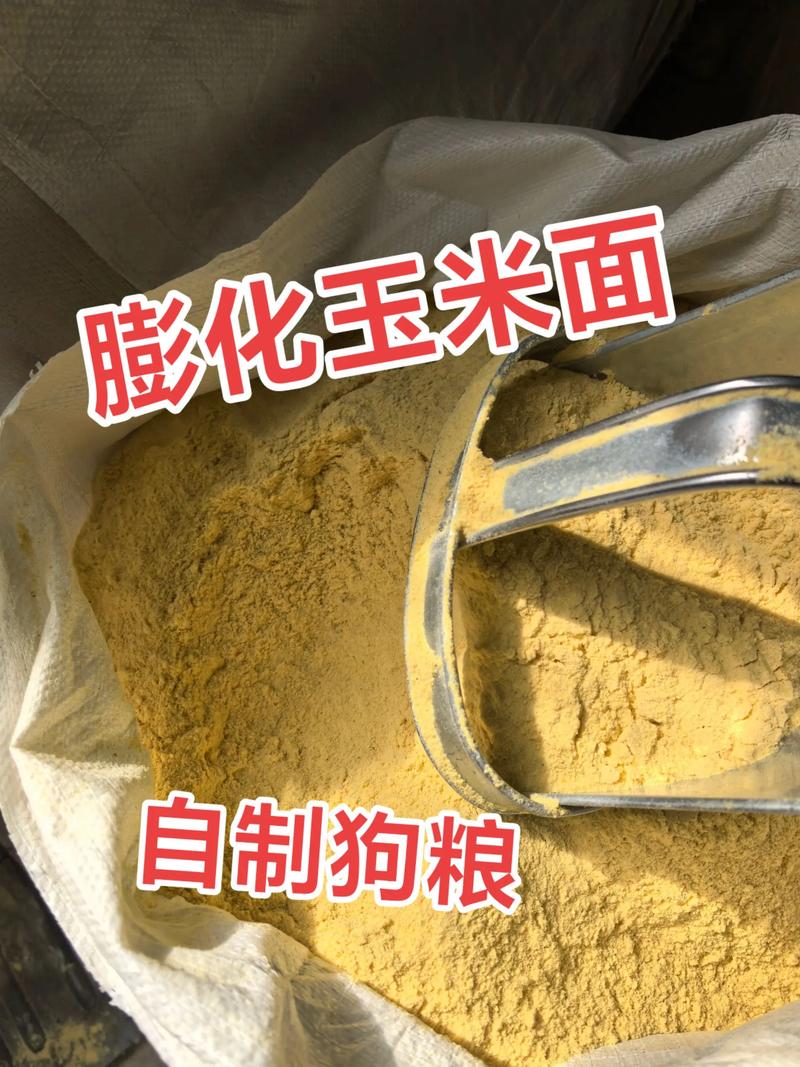玉米面魚餌配方必看_玉米面釣魚餌_黃豆粉自制餌料