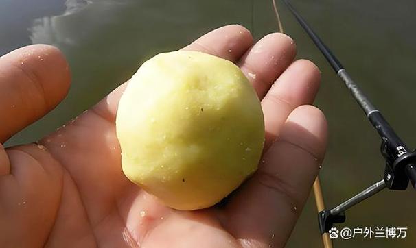 野釣鯉魚配方_發酵玉米餌料制作_玉米面魚餌配方必看