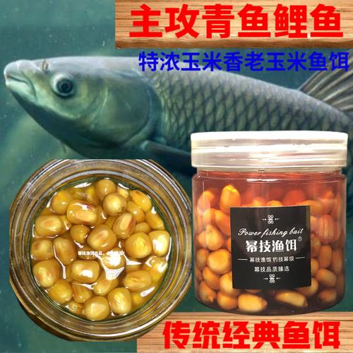 玉米面魚餌配方必看_發酵玉米餌料制作_野釣鯉魚配方