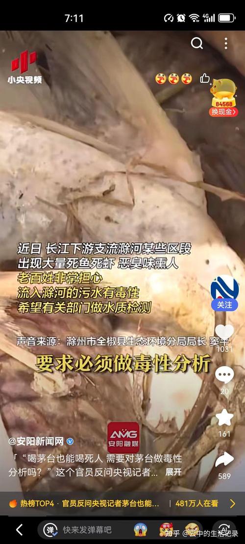 黃兒營酒廠廣場舞比賽_黃酒廠起火 黃酒流入湖中魚群醉倒_黃酒廠出售