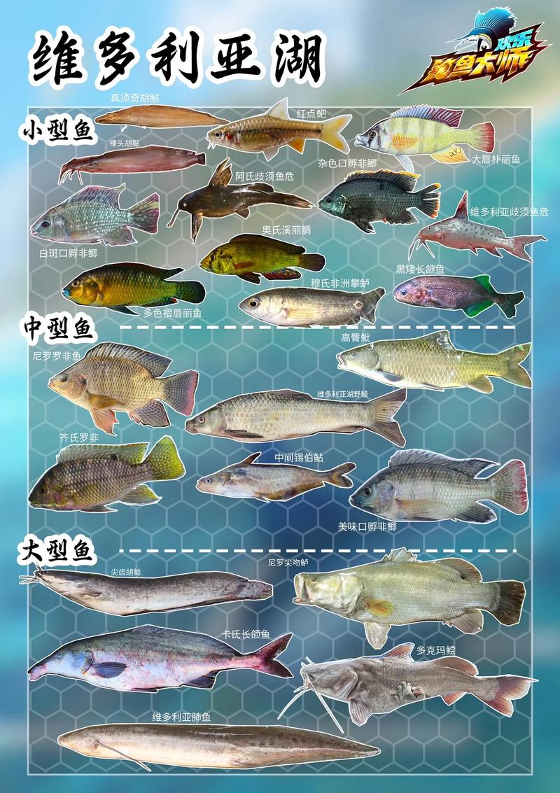 釣魚百科全書_釣魚大對決 魚類百科全書 海洋生物認知