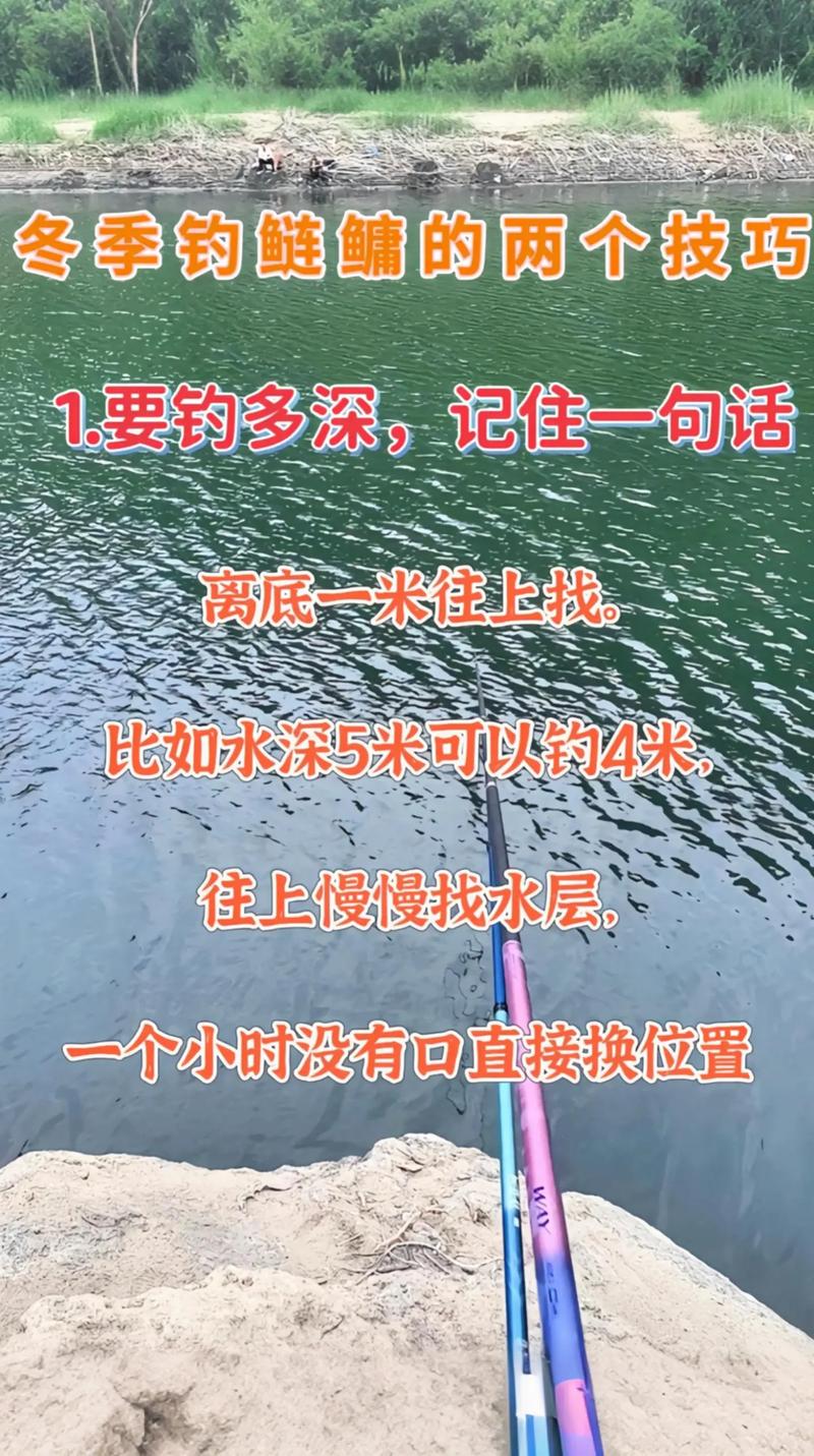 野塘釣鰱鳙經驗分享_降溫天氣釣鰱鳙技巧_手桿鰱鳙魚釣法