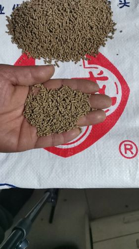 競技垂釣餌料分類使用_原塘顆粒特性使用技巧_原塘顆粒怎么用?黑坑爆護必備