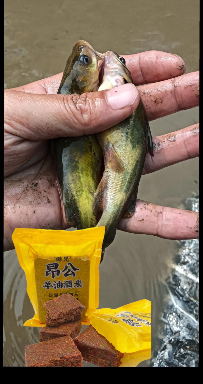 黃顙魚怎么釣_黃顙魚釣法_黃骨魚野釣技巧