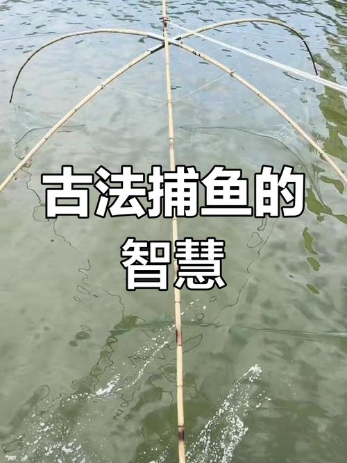 捕魚方法大全_創新捕魚技法_傳統智慧與現代科技結合