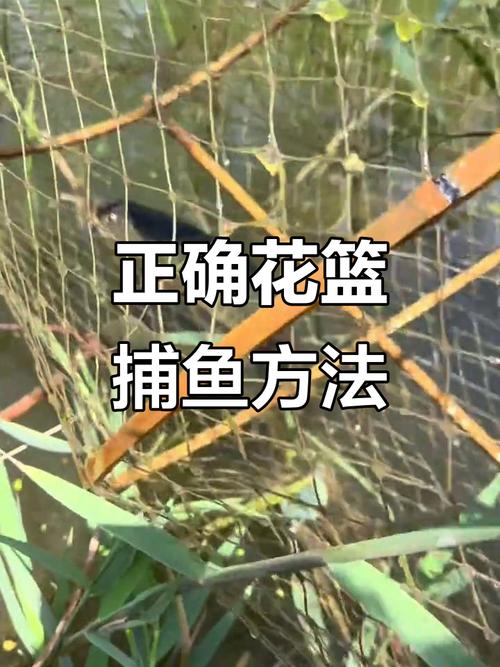 創新捕魚技法_捕魚方法大全_傳統智慧與現代科技結合