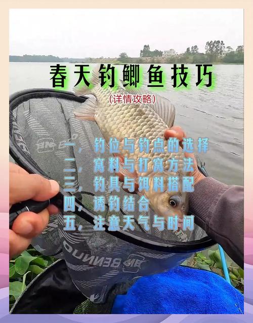 夏季釣魚技巧大全_水庫釣魚技巧視頻_春季釣魚技巧大全