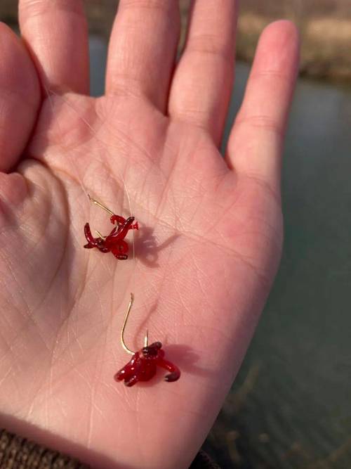 凍紅蟲 釣魚_紅蟲釣魚攻略_紅蟲餌料配方