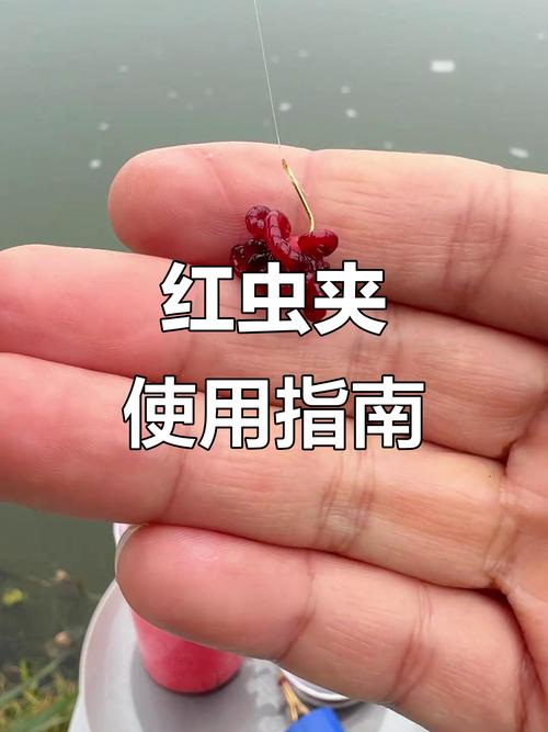 紅蟲餌料配方_凍紅蟲 釣魚_紅蟲釣魚攻略
