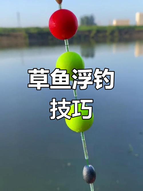 草魚釣法技巧分享_野釣草魚浮釣方法_野釣草魚釣法