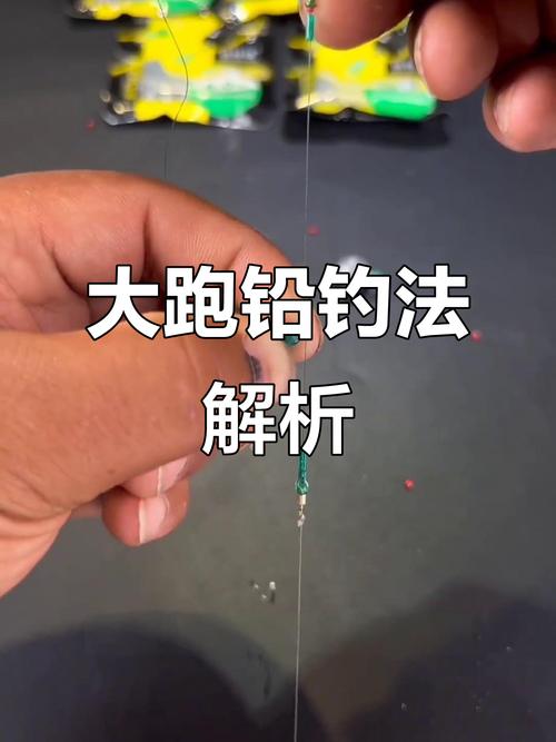 雙鉛釣法圖解_野釣跑鉛釣法原理_野釣大跑鉛釣法