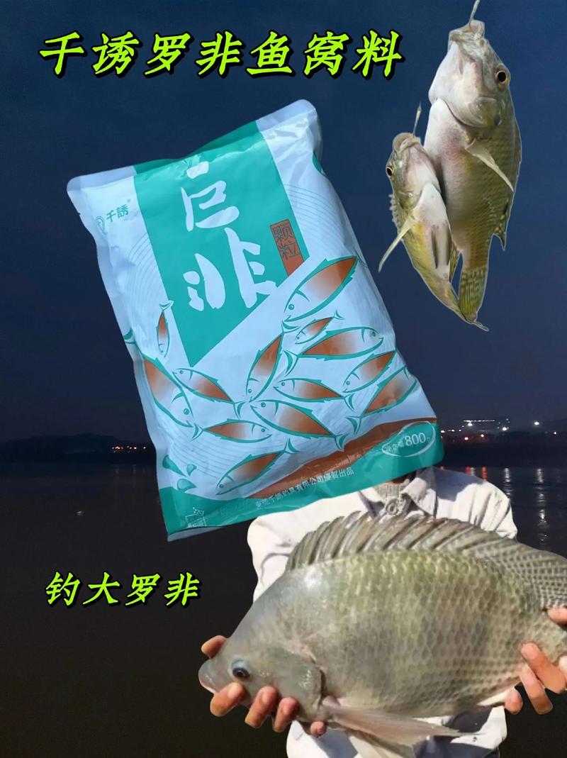 夏季黑坑釣羅非餌料配方_野釣大羅非魚餌料配方_釣羅非魚餌料搭配技巧