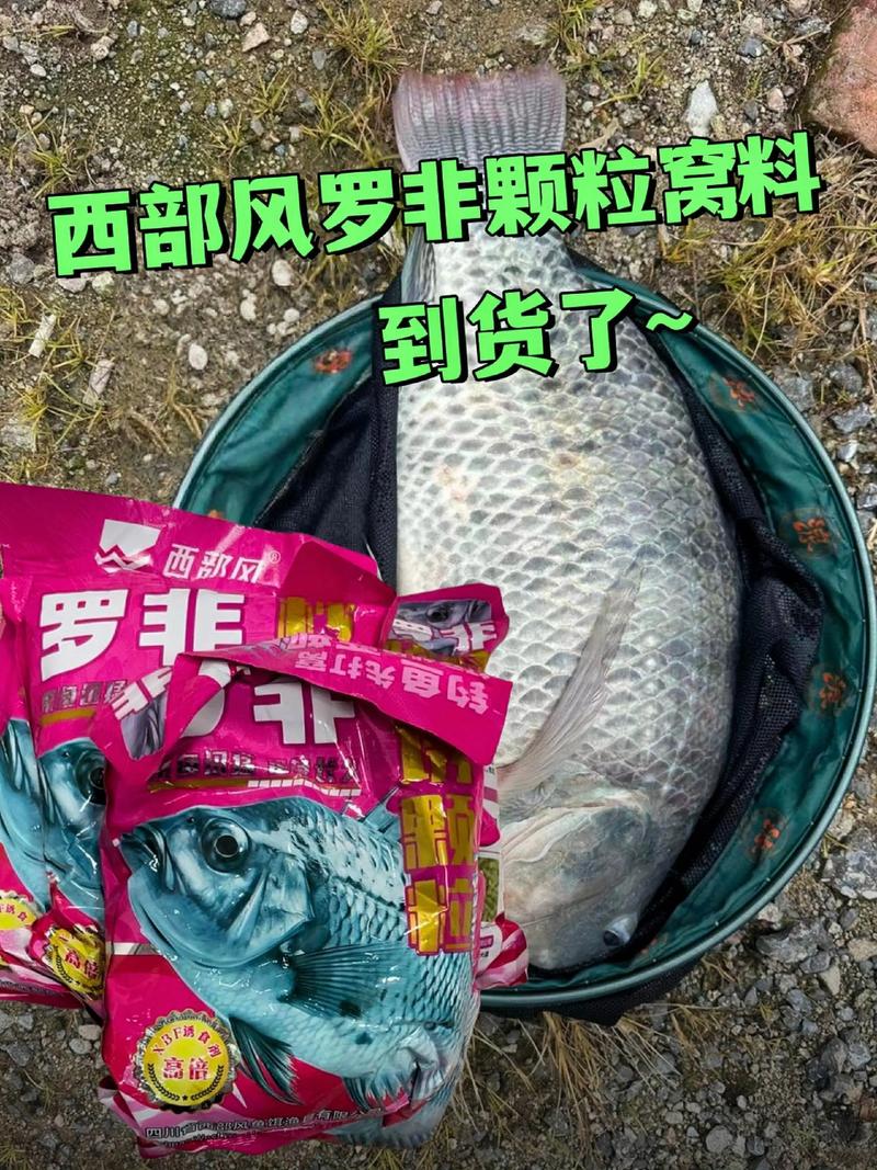 野釣大羅非魚餌料配方_自制羅非魚餌料配方_羅非魚創新釣法49斤經驗分享