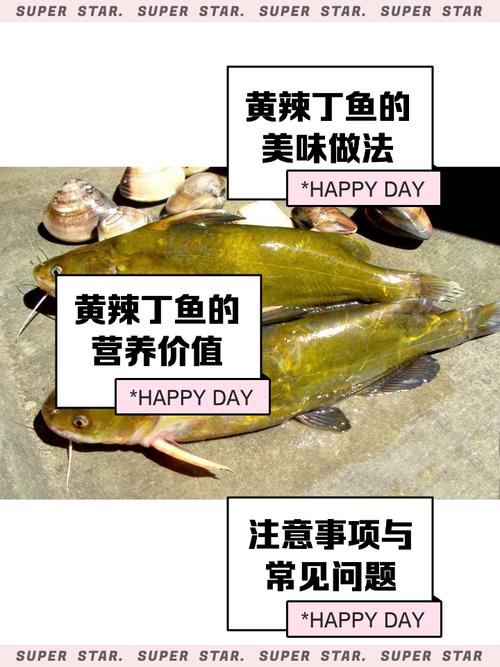四川正宗酸菜黃辣丁魚的做法?_四川黃辣丁魚火鍋做法_黃辣丁魚火鍋功效作用