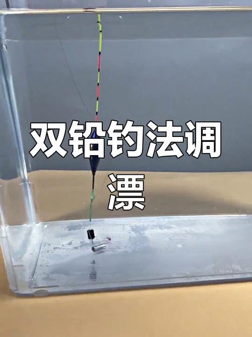 雙鉛墜釣法操作_雙鉛墜釣法與調漂方法_雙鉛墜釣法