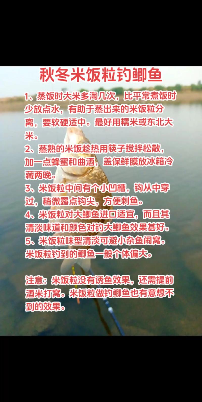釣鯽魚打窩配方_剩米飯如何制作誘魚窩料_剩米飯釣魚打窩方法