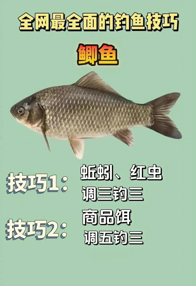 釣位選擇與調整_四季江河釣魚必須掌握的七種技巧必看_春夏交替釣魚技巧