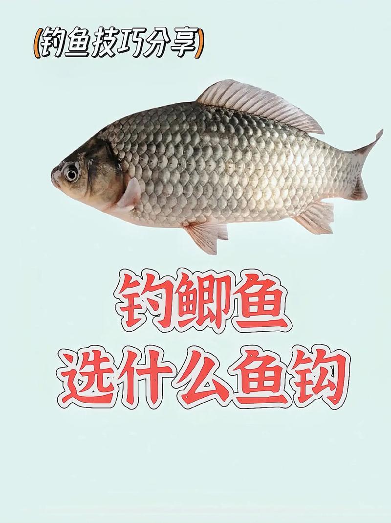 釣鯽魚選擇合適的魚鉤_釣鯽魚用幾號朝天鉤_袖鉤海夕鉤選擇技巧