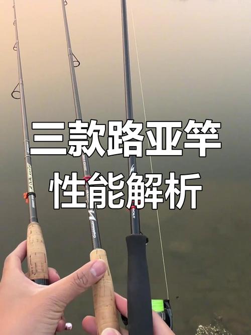 路亞竿與海釣磯釣區別_磯竿海竿選擇指南_磯竿和海竿哪個更實用