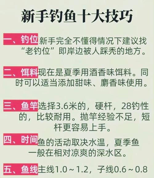 新手如何學習釣魚_釣魚基本步驟_初學釣魚調漂技巧