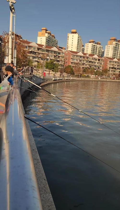 蘇州河_蘇州河釣魚攻略_蘇州河可以釣魚嗎_蘇州合法垂釣點_蘇州禁止釣魚游泳河道名單