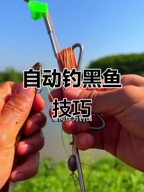 民間釣法之釣黑魚的作釣技巧必看_黑魚餌料選擇_傳統釣黑魚技巧