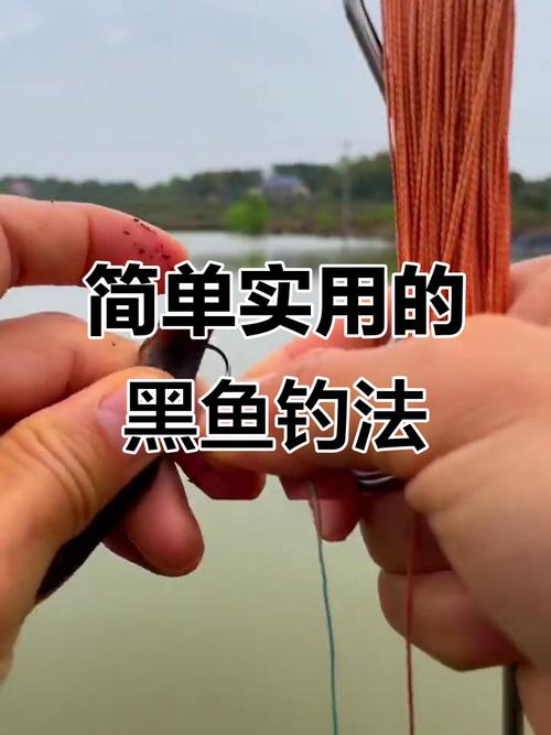 黑魚垂釣技巧_民間釣法之釣黑魚的作釣技巧必看_黑魚最佳釣時和地點