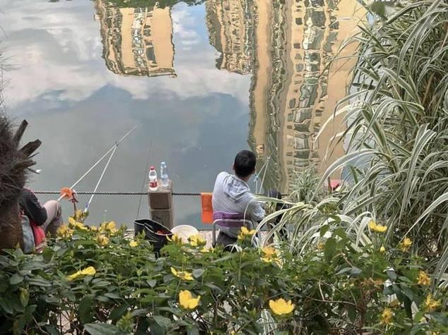 蘇州河鱸魚文化_蘇州河治理歷史_蘇州河_蘇州河釣魚攻略_蘇州河可以釣魚嗎