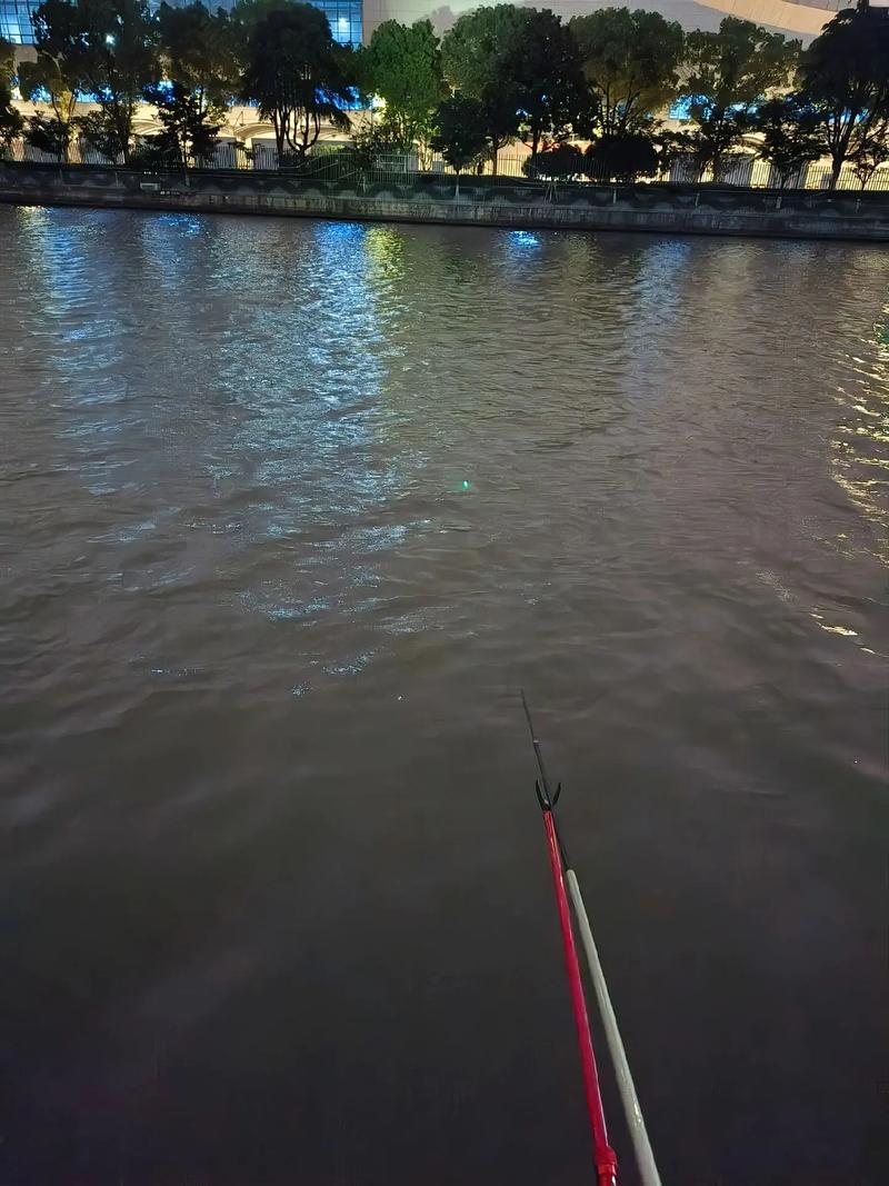 蘇州河鱸魚文化_蘇州河治理歷史_蘇州河_蘇州河釣魚攻略_蘇州河可以釣魚嗎