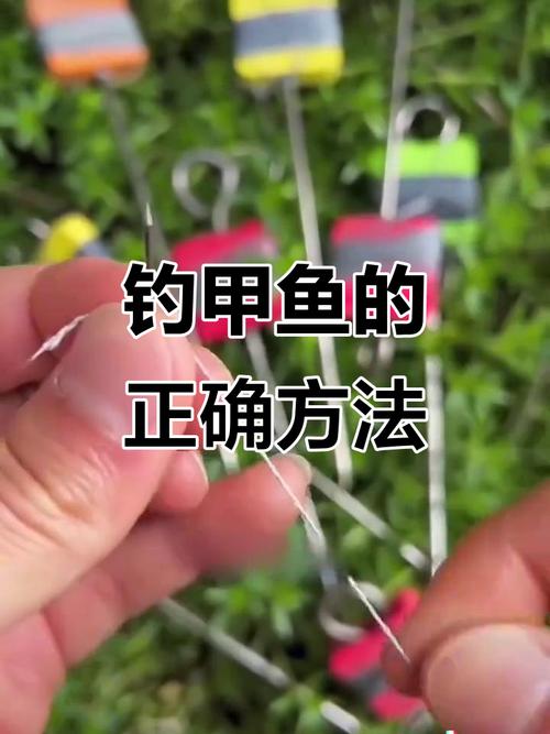 針釣甲魚技巧_釣甲魚裝備_釣甲魚餌料特效民間秘方