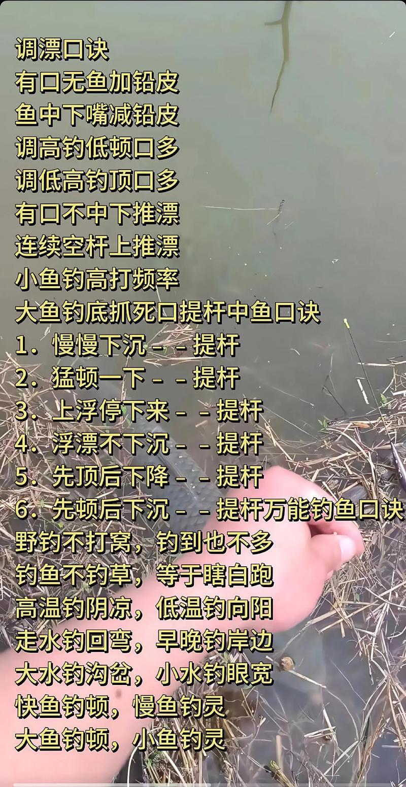 釣鯉魚調漂技巧_釣鯉魚調漂方法_野釣鯉魚調幾釣幾最好