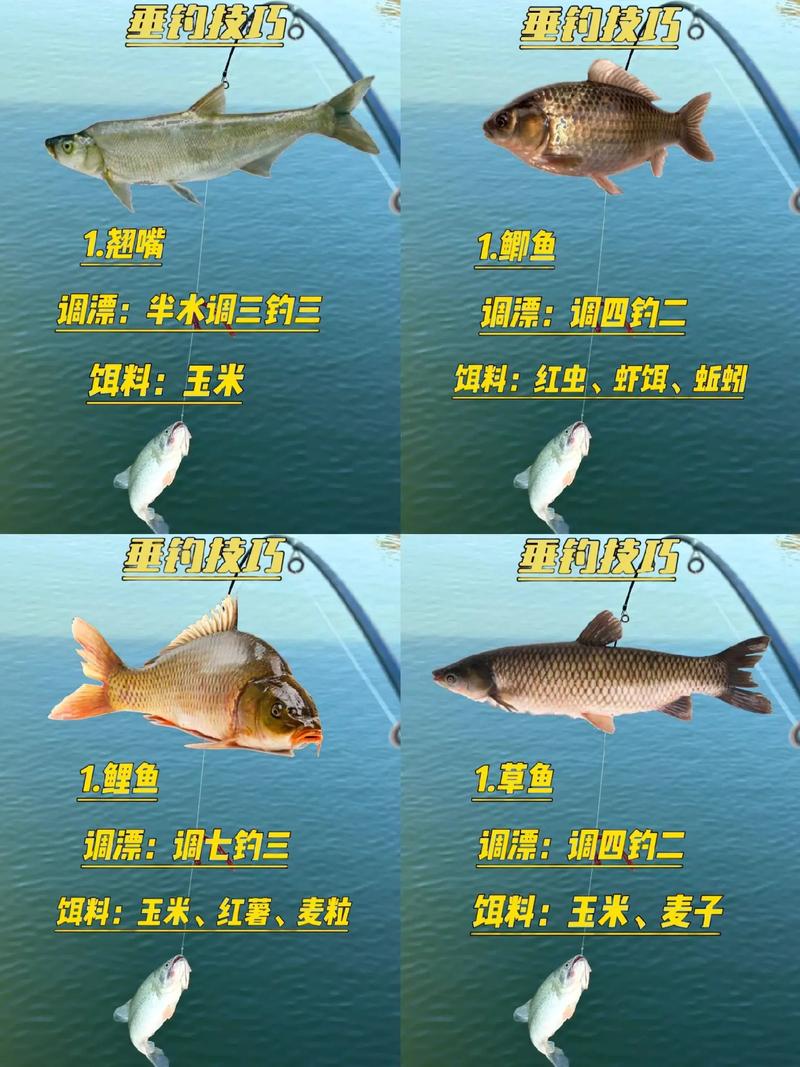 中國淡水魚種類大全_常見淡水魚釣法_淡水魚種類及垂釣技巧