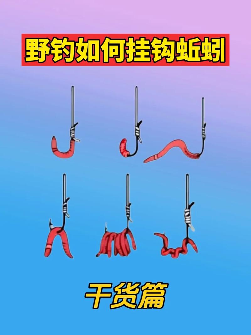活蚯蚓死蚯蚓掛鉤方法_用蚯蚓釣魚穿皮還是穿腸技巧_蚯蚓釣魚技巧視頻教程