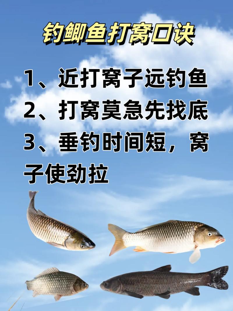 野釣用菜籽餅打窩_菜籽餅野釣用法_菜籽餅打窩技巧