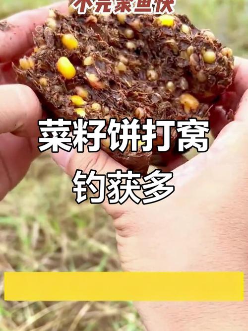 菜籽餅釣魚使用方法_野釣用菜籽餅打窩_菜籽餅打窩效果