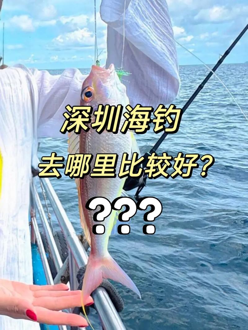 深圳寶安野釣攻略_深圳寶安野釣_深圳寶安海釣地點