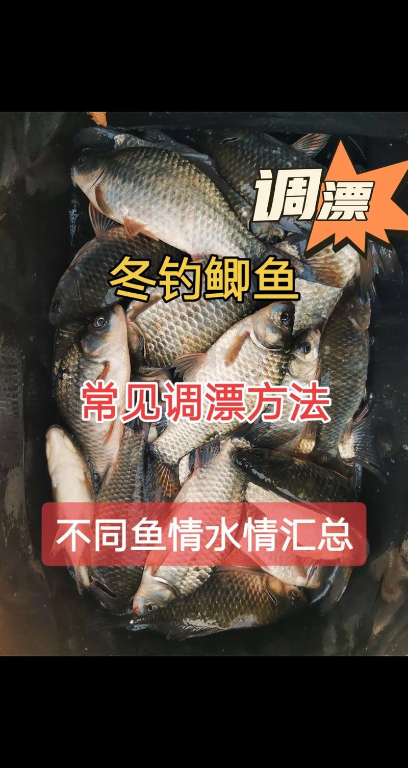 冬季野釣調漂技巧_冬季野釣鯽魚浮漂選擇_野釣浮漂吃鉛多少合適