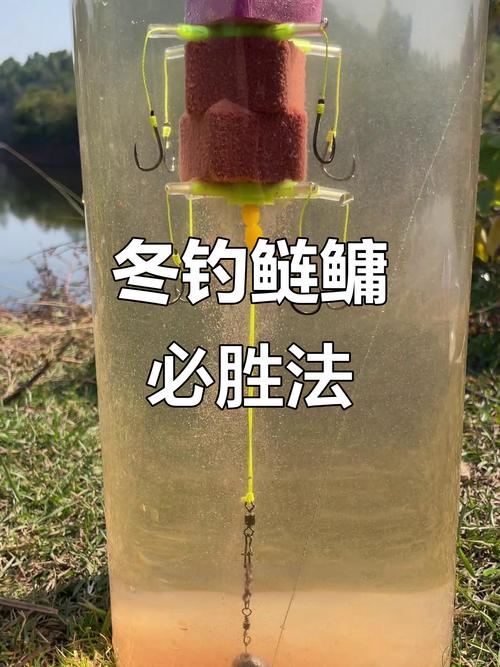 釣鰱鳙實用技巧大揭秘！新手必看，從此告別錨魚