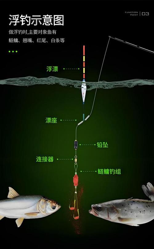 釣鰱鳙裝備選擇_釣鰱鳙技巧_釣鰱鳙餌料