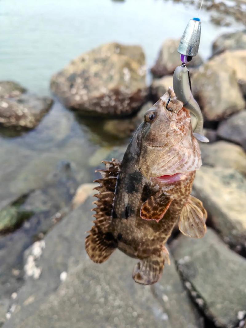 河南釣魚圣地_南戴河在哪釣魚好_河南釣魚的地方