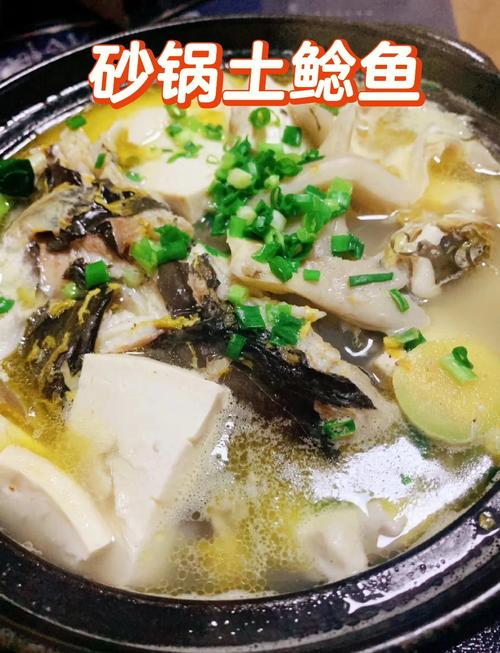 鯰魚豆腐湯做法_鯰魚燉茄子食譜_酸菜釣鲇魚餌料鯰魚咸菜湯家常做法?